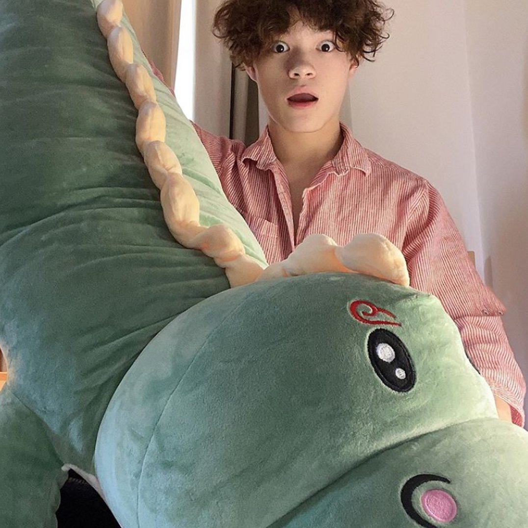 Haku The Dinosaur Plushie — image 6
