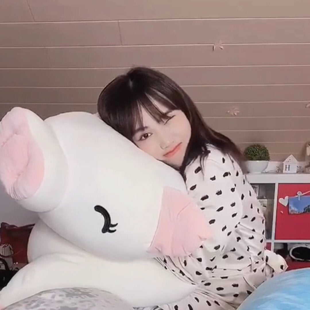 Jeju The Piggy Plushie — image 13