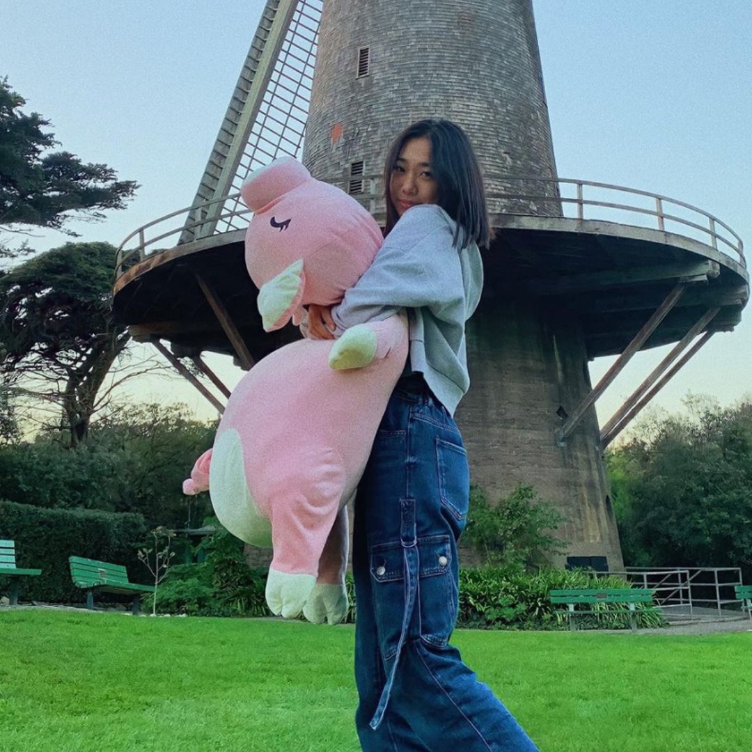 Jeju The Piggy Plushie — image 14