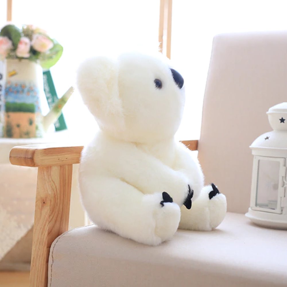 Koala Bear Family — image 5