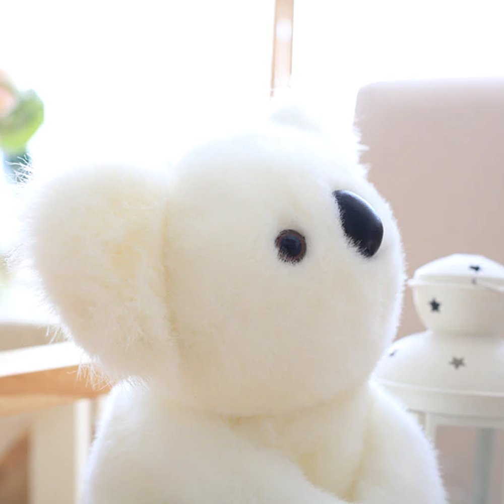 Koala Bear Family — image 13
