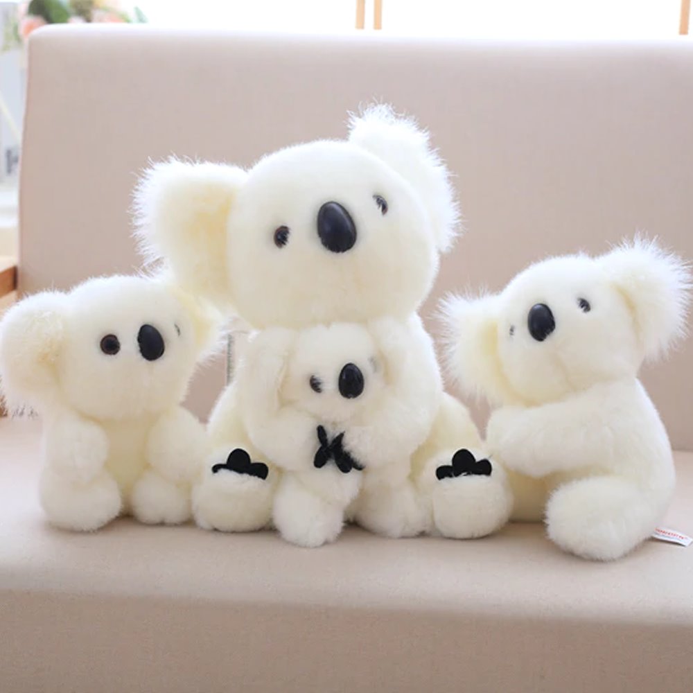 Koala Bear Family — image 6