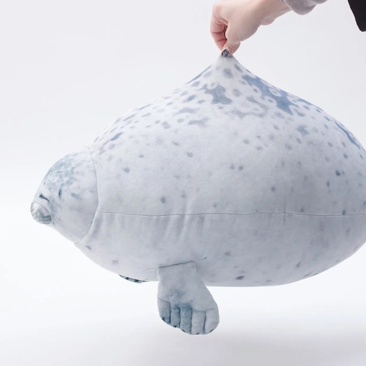 Lazy Chubby Seal — image 13
