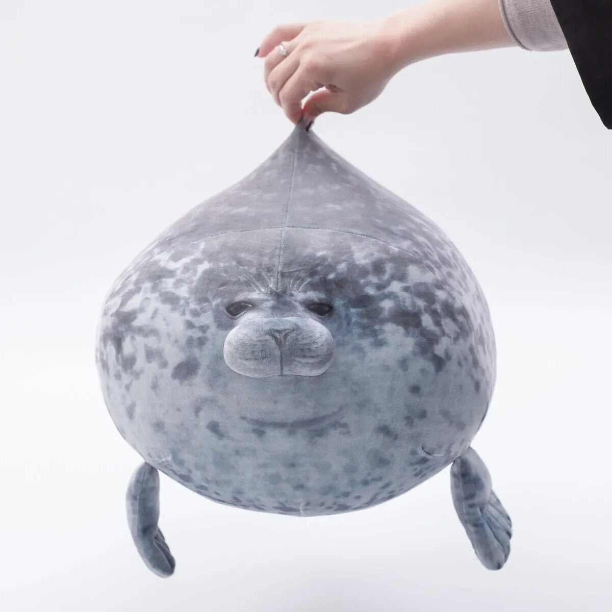 Lazy Chubby Seal — image 14