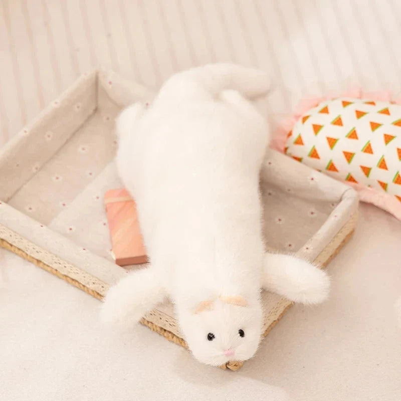 Mochi & Miso The Fluffy Ferret Plushies — image 17