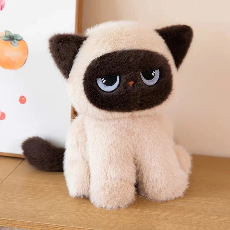 Momo the Sitting Kawaii Siamese Cat — image 9