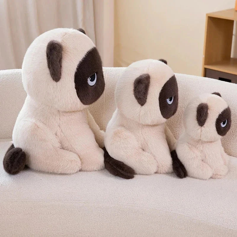 Momo the Sitting Kawaii Siamese Cat — image 11