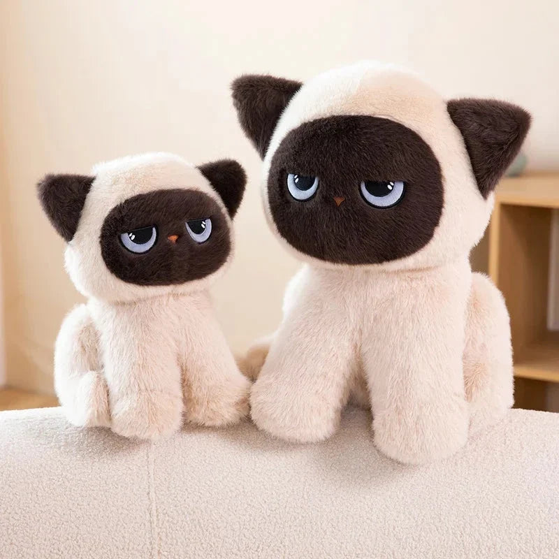 Momo the Sitting Kawaii Siamese Cat — image 12