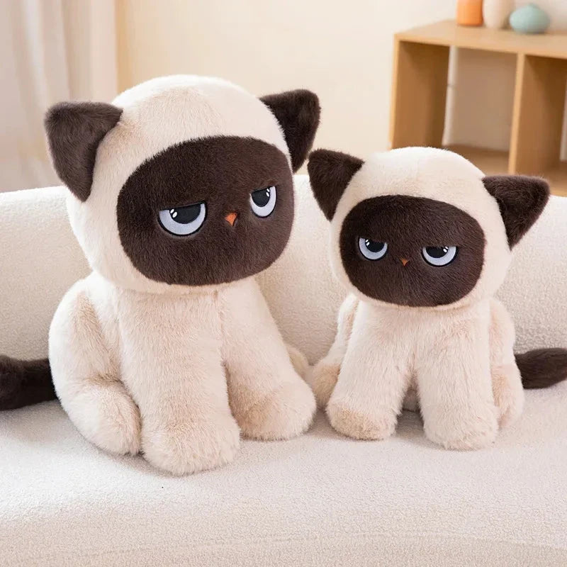 Momo the Sitting Kawaii Siamese Cat — image 7