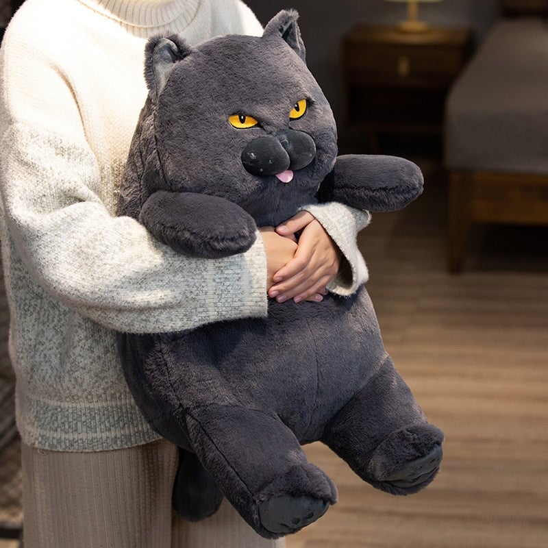 Poe the Grumpy Cat Plushie — image 13