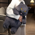 Poe the Grumpy Cat Plushie — image 2