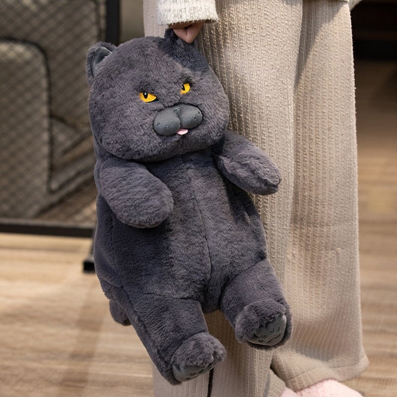 Poe the Grumpy Cat Plushie — image 11