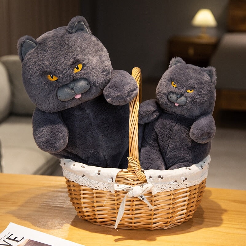 Poe the Grumpy Cat Plushie — image 12
