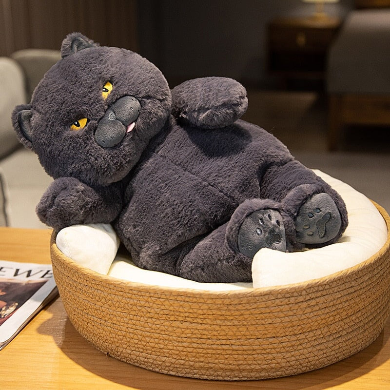 Poe the Grumpy Cat Plushie — image 7