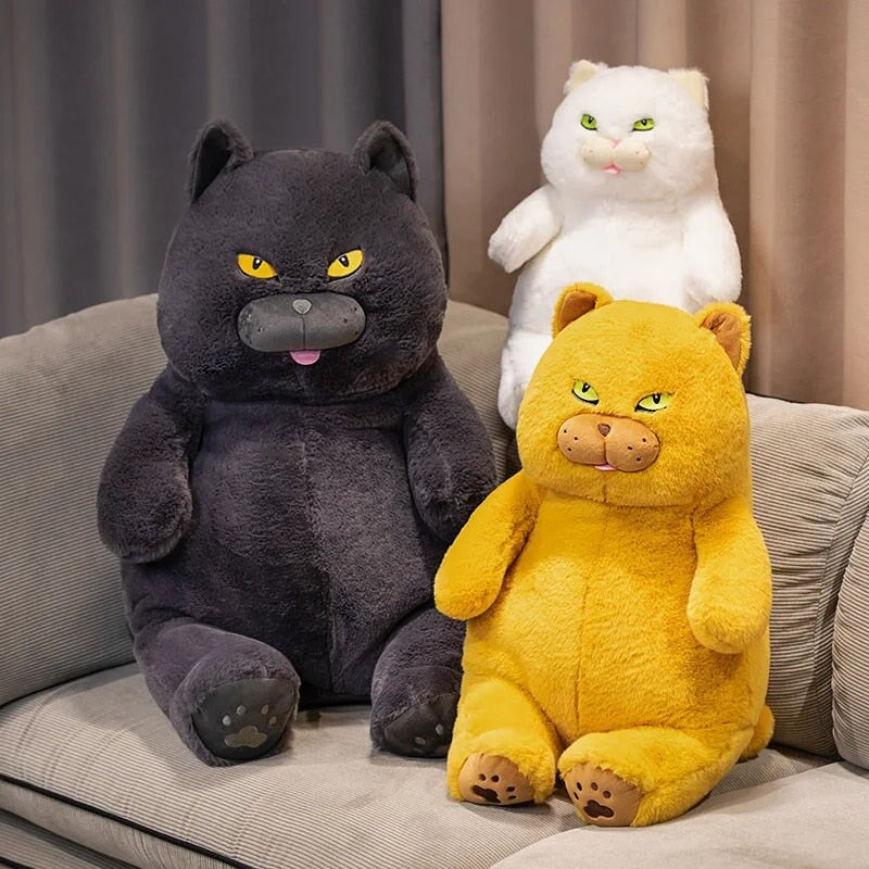 Poe the Grumpy Cat Plushie — image 17