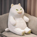 Poe the Grumpy Cat Plushie — image 8