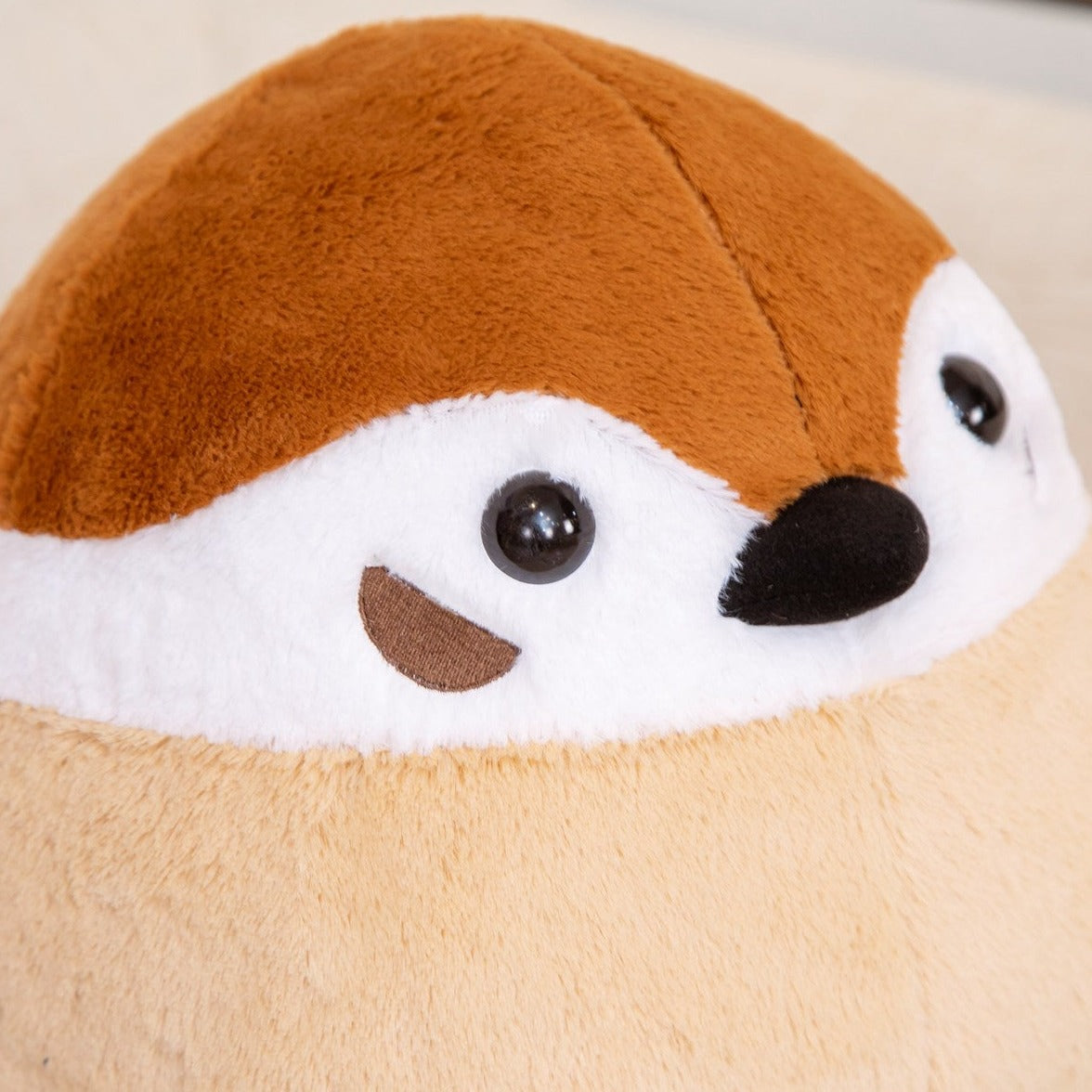 Round Chonky Sparrow Raven Crow Bird Plushies — image 3