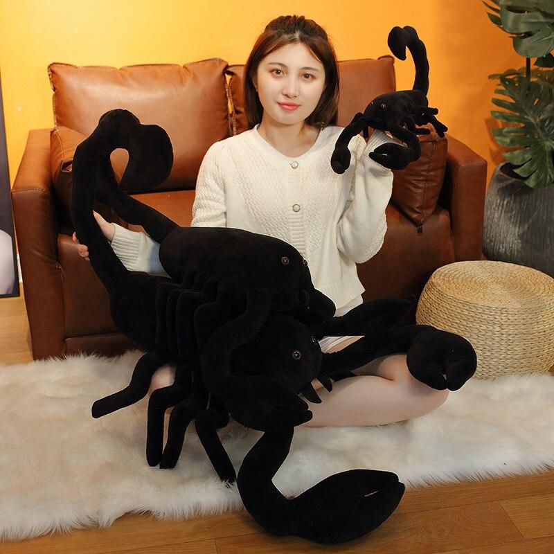 Sage the Scorpion — image 8
