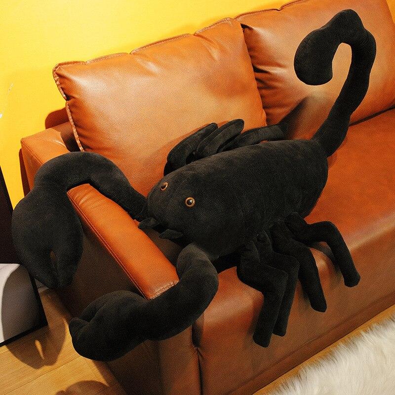 Sage the Scorpion — image 10