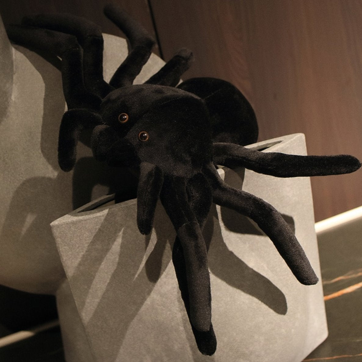 Terry the Tarantula — image 1