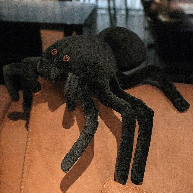 Terry the Tarantula — image 4