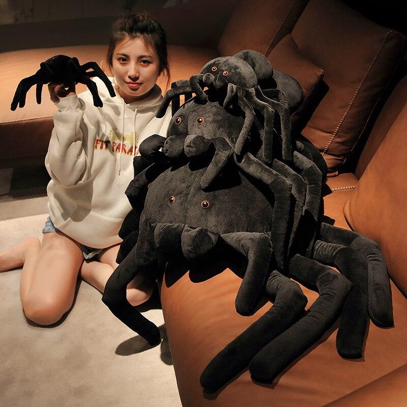 Terry the Tarantula — image 2