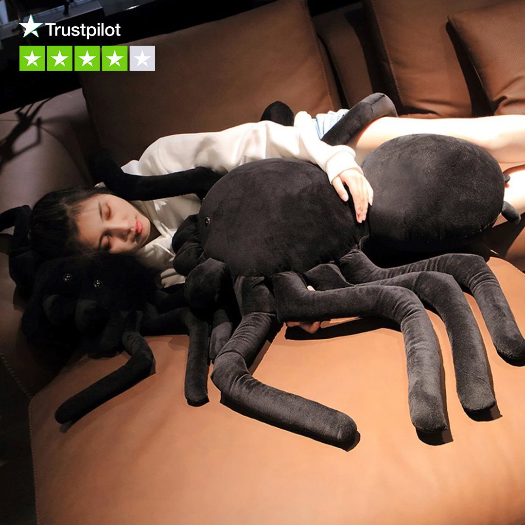 Terry the Tarantula — image 3